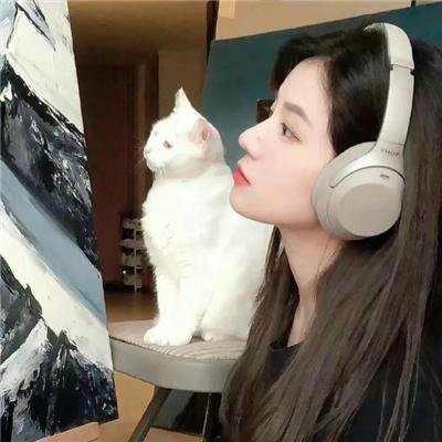 猫和老鼠喜剧秀